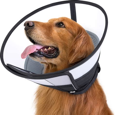 cone collars for dogs|More.